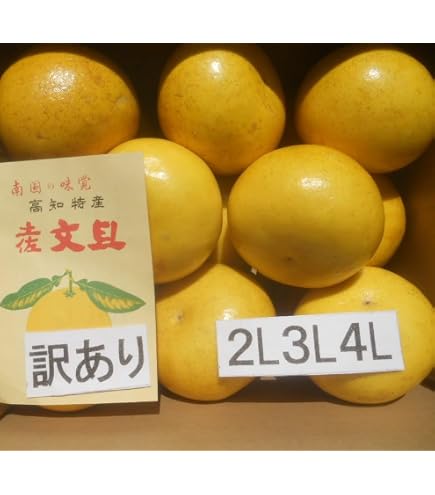 Amazon.co.jp: 【大玉サイズ】【ご家庭用】高知特産 土佐文旦 3L～4L